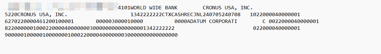Electronic Payment File